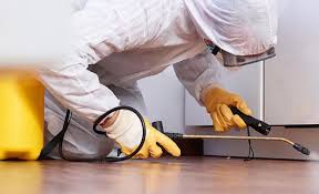 Best Pest Control for Hotels  in Nuevo, CA